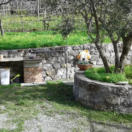 Il Grande Nido Di Pietro * ماراتييا